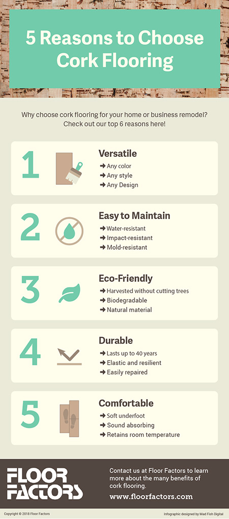 5 reasons to choose cork flooring infographic