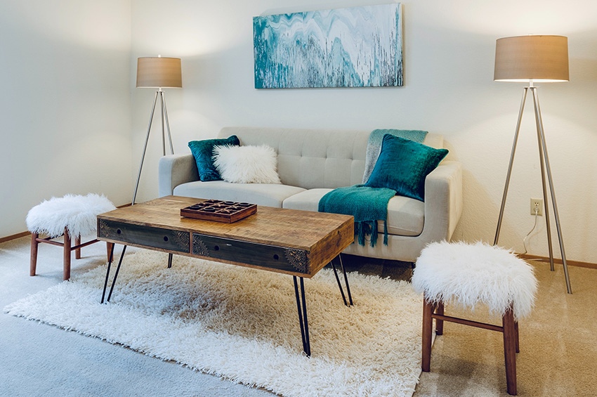 Living-room-with-clean-carpet