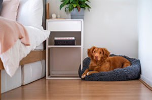 Wood-like laminate flooring in a bedroom