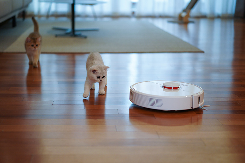 A round robot vacuum cleaning vinyl floors as cats watch