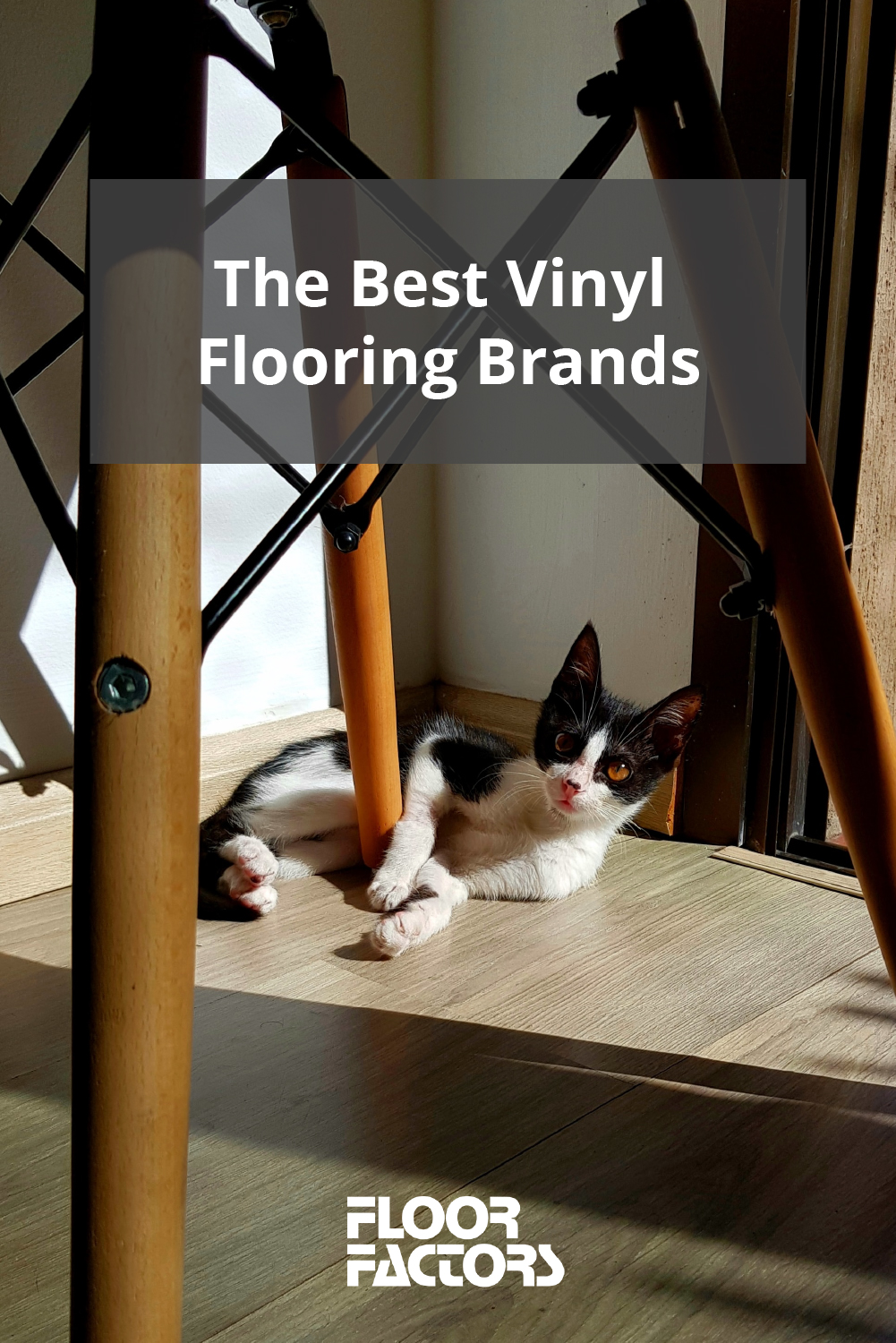 The Best Vinyl Flooring Options for Your Portland Home