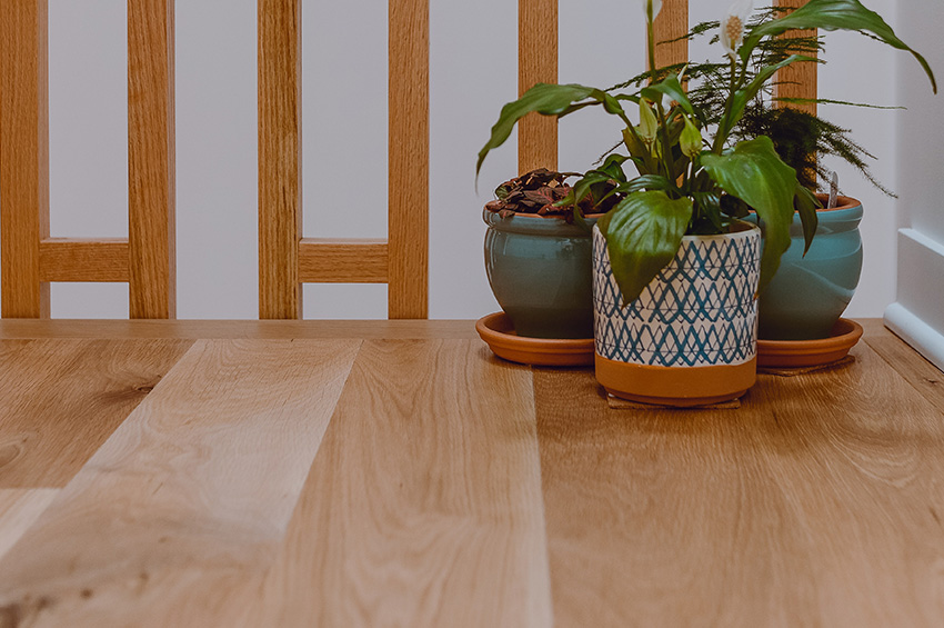 Three plants, in multicolored pots, have been placed on a hardwood floor.