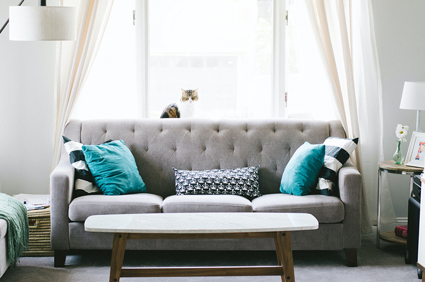 Grey couch in front of a large window with white curtains. There is a cat on the windowsill and the couch is accented with teal pillows.