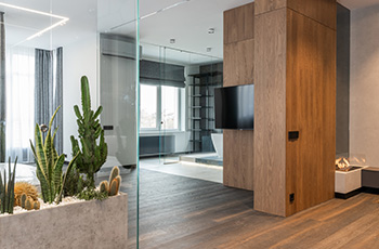 Contemporary living space with medium-tone vinyl wood floors, a wood accent wall, and cactuses.